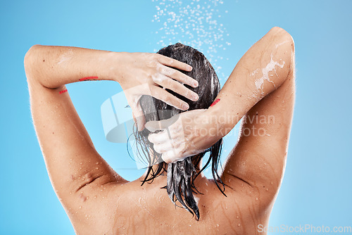 Image of Hair, wash and woman in shower with water for haircare, cleaning and health on a blue studio background. Bathroom, cleansing and hygiene for hair grooming with shampoo or soap while showering