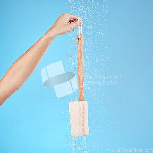 Image of Shower, back brush and body loofah of cleaning, skincare massage or hygiene on studio blue background. Woman hands, water splash and bath sponge, wellness and eco bamboo beauty product for clean skin