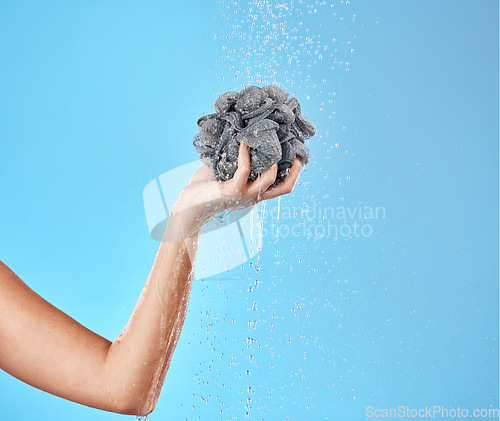 Image of Loofah, shower and hand with water for hygiene, grooming and cleaning for health and wellness on a blue studio background. Hands, beauty and sponge for showering for cleansing in bathroom