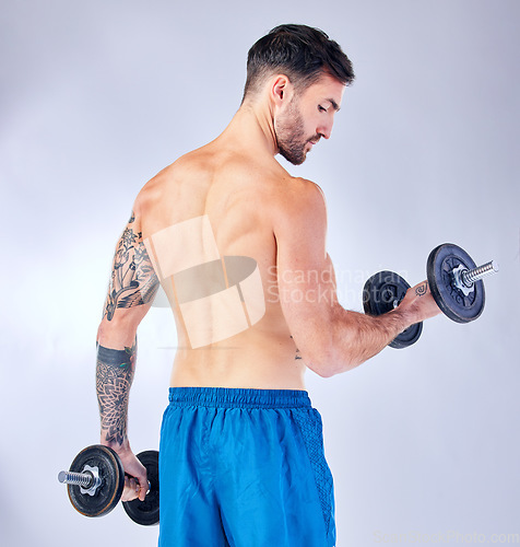 Image of Bodybuilder back, dumbbells and background in studio for fitness, health or training with focus. Man, weightlifting exercise and sport workout for body, power and muscle with iron for bodybuilding