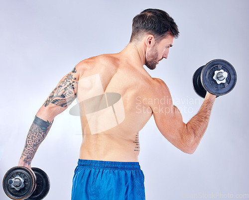 Image of Weightlifting, muscle and man training for health, fitness and body against a grey studio background. Gym, wellness and athlete bodybuilder with weights for power during workout and exercise