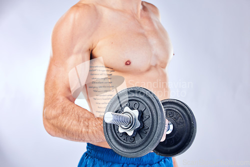 Image of Weightlifting, fitness and man training his arms for muscle against a white studio background. Exercise, workout and strong athlete model with weights for bodybuilding, health and motivation