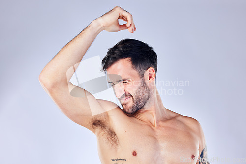 Image of Armpit, stink and hygiene with a man model smelling his underarm in studio on a gray background for a deodorant product. Body, natural and sweat with a handsome young male sniffing his sweaty arm