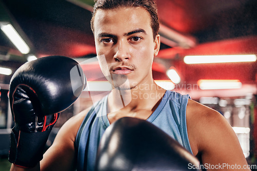 Image of Fitness, boxing gloves and portrait of an athlete training for a fighting match or competition. Sports, motivation and man boxer in a gym to workout, exercise or practice for a martial arts fight.