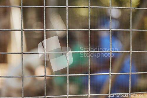 Image of Steel fence, blurred background and animal shelter volunteers keep animals safe, secure and fed for adoption play outdoors in nature. Pet care, veterinary clinic and workers behind chain link fence