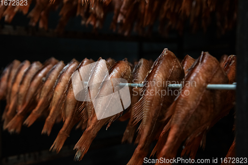 Image of Smoked fish production concept