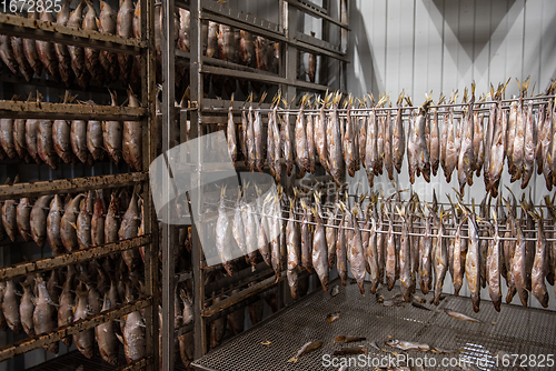 Image of Smoked fish production concept