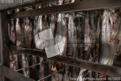 Image of Smoked fish production concept