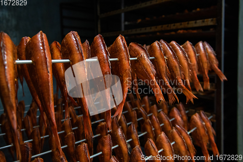 Image of Smoked fish production concept