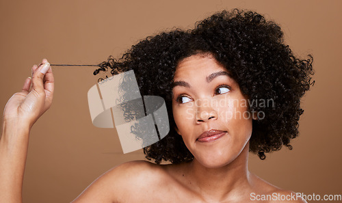 Image of Black woman afro, messy hair and curls looking for cosmetics or salon treatment against a brown studio background. African American female in hair care holding entangled strand on mockup