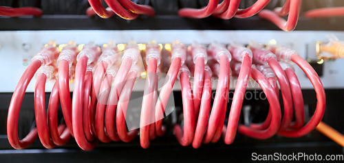 Image of Technology, server room and cables connected to ethernet port or router for network, internet or fiber in data center for connection management. Electrical red optic cable for computer it background