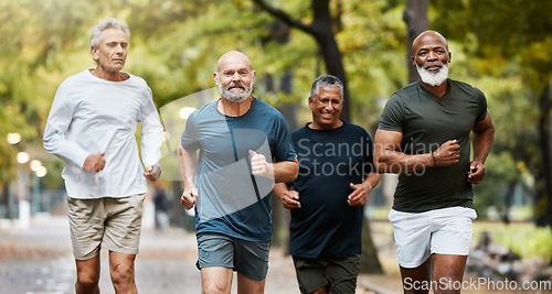 Image of Fitness, running and group of senior men doing exercise, training and workout together in park on weekend. Nature, friendship and old males doing sports outdoors for health, wellness and body care