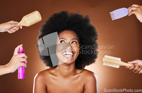 Image of Black woman, afro and hair care tools for healthy and natural locks wellness. African girl model, luxury hairstyle healthcare and cosmtics shampoo treatment or grooming in brown studio background