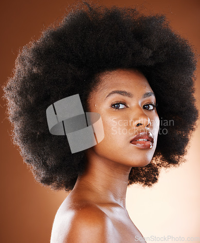 Image of Natural hair, beauty and black woman in studio portrait with cosmetics and minimal makeup for dermatology wellness, salon and hairdresser. Young African afro model face, headshot and hair care growth