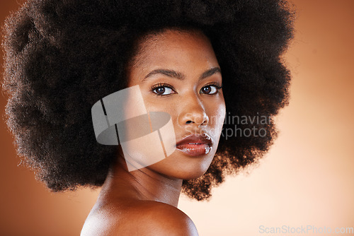 Image of Beauty portrait of black woman with skincare, hair care and natural makeup for facial aesthetics, wellness and healthcare. Salon afro hair, cosmetics and face of model with glowing skin treatment