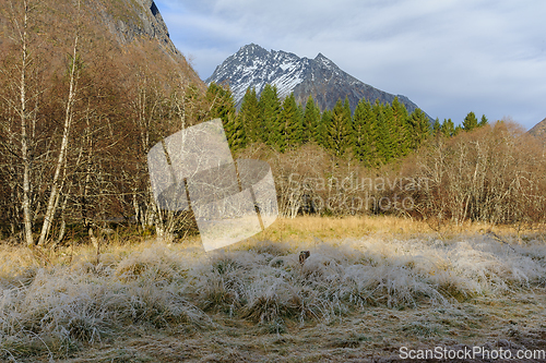 Image of mountain peak in warm autumn sun with frozen grass in the foregr