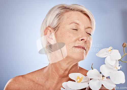 Image of Flowers, skincare and senior woman with aromatherapy, beauty and peace from plants against a grey studio background. Luxury, cosmetic and calm elderly model with an orchid for wellness and relax