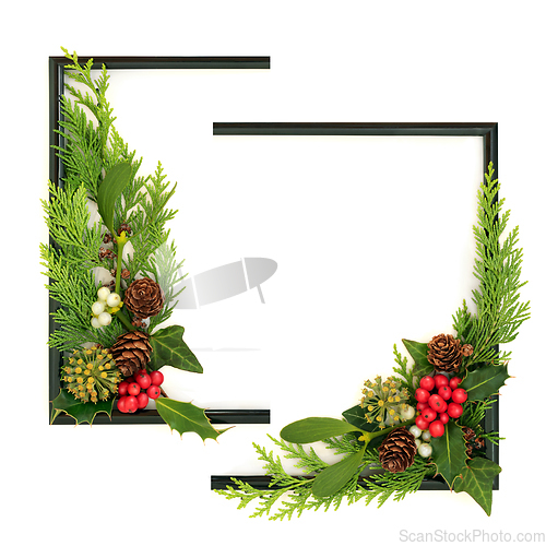 Image of Abstract Christmas Winter Background Festive Flora and Greenery