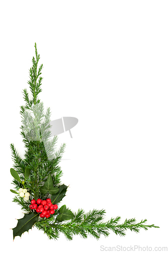 Image of Christmas Background Border with Winter Holly Mistletoe Ivy Fir