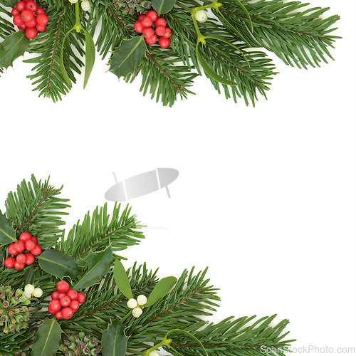 Image of Christmas Winter Flora Background Border 