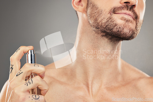 Image of Man, perfume and hands spray on neck for beauty wellness or luxury fragrance cosmetics in studio. Hygiene grooming, clean and fresh colagne for handsome male skincare and sensual body care lifestyle