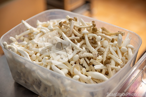 Image of White enoki mushrooms.