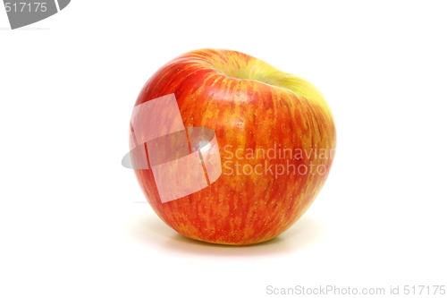 Image of Honey Crisp Apple