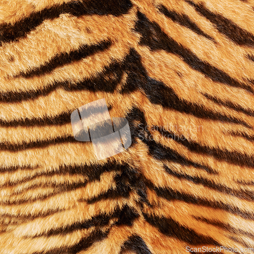 Image of black stripes on tiger pelt