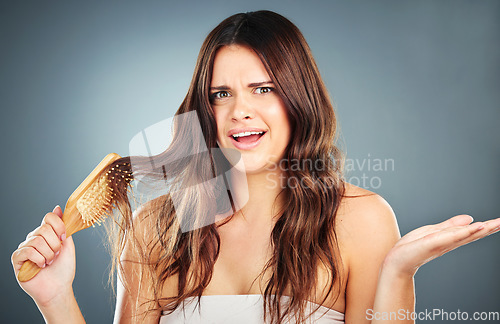 Image of Woman, hairbrush and shocked woman with problem, stress and damaged brunette hair. Portrait, haircare and hairstyle with a female with wavy hair and stuck brush in brown hairstyle in studio