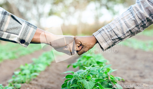 Image of Farming, agriculture and fist bump for b2b business deal, partnership or agreement on an agro farm with hands for trust, teamwork and growth. Man and woman farmer together for support in ecology