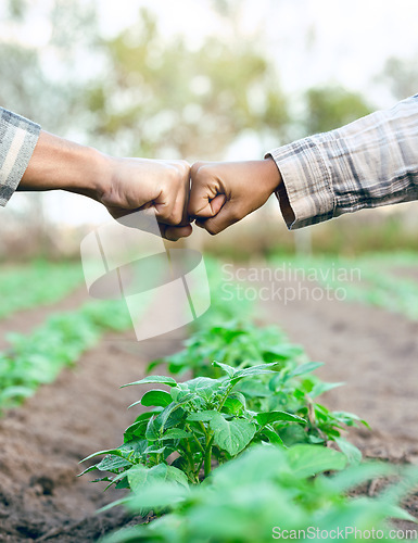 Image of Fist bump, support and employees farming in partnership for growth, agriculture and sustainability on a farm. Meeting, deal and farmer people with goal for sustainable ecology and eco friendly nature