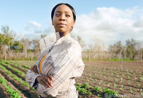 Image of Farmer, black woman and pride for plants, vegetables and smile for growth, rows or community garden. Agriculture, proud female or saplings for eco friendly, natural and health for sustainable produce