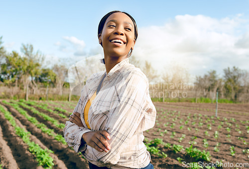 Image of Woman, farm and thinking for agriculture farming harvest in a field in summer for eco friendly development. Gardener, gardening and growth with an african american female famer working on farmland