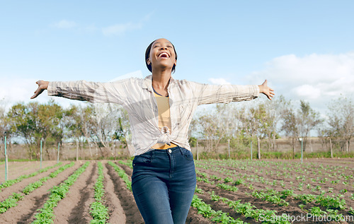 Image of Farm, freedom and black woman feeling carefree and happy on an agriculture, eco friendly and sustainable field. Free, land and farming with african american female enjoying her agricultural harvest