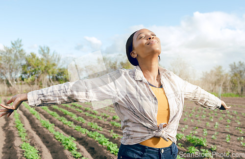 Image of Farmer, freedom and woman feeling carefree and joy on agriculture field or plantation before harvest. Free, african american female and eco friendly field for ecology, eco and earth for farming