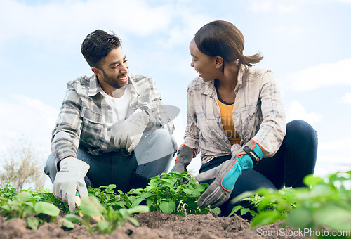 Image of Farming, agriculture and couple doing gardening together with plants in soil for sustainability on an agro farm in the countryside. Teamwork of man and woman farmer during harvest season in a garden