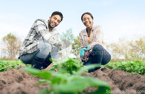 Image of Agriculture, farm and portrait of happy couple farming, working or planting crops. Agro, sustainability and farmers, interracial couple and man and woman checking on plants health or vegetable growth