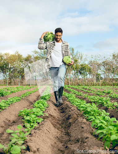 Image of Farmer, vegetables farm and agriculture sustainability for healthy food. Nature, plant growth and eco friendly worker with smile for carbon capture farming and gardening plants or nutrition wellness