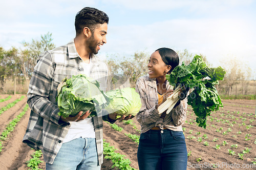 Image of Happy farmer worker, vegetables and agriculture in nature, environment and sustainability in countryside. Gardening, farming and young couple harvest cabbage, spinach and green plants from agro field