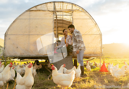 Image of Farm, chicken and man and woman on agriculture field in the countryside for hen farming in summer. Poultry, farmer and farming multiracial couple on ranch for sustainable environmental harvest