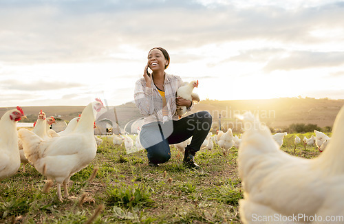 Image of Black woman, phone call and countryside on chicken farm with smile for live stock in the outdoors. Happy African American female farmer smiling on phone for sustainability, agriculture and animals