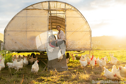 Image of Poultry farm, black woman and chicken coop for sustainable farming outdoor on a field for meat, food and free range eggs. Farmer with animals to care and feed livestock on a sustainable ranch