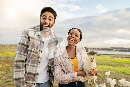 Image of Farm, chickens and agriculture with a couple farming together on organic land in the poultry industry. Field, energy and environment with a man and woman farmer working in agricultural sustainability