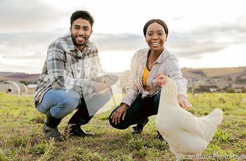 Image of Farm, livestock and portrait of a couple with a chicken on an agriculture, sustainable and green field. Poultry, eco friendly and agro man and woman with a animal to monitor growth in the countryside