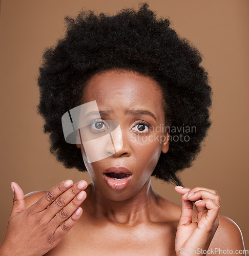 Image of Hair, portrait and black woman in studio for problem, hair loss and hair care against a brown background. Face, model and afro hairstyle fail by woman confused, shocked and surprised by damaged hair