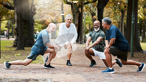 Image of Senior, man group and stretching at outdoor together for elderly fitness or urban wellness for happiness. Happy retirement, friends workout or exercise club in diversity, teamwork or health lunges