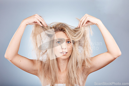 Image of Hair, portrait and woman in studio for hair care, problem and fail or hair loss against grey background. Confused, girl and model with split ends, dry and tangle, damaged hair and frizz with mockup