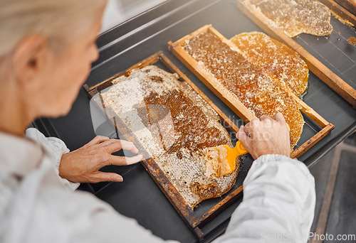 Image of Beekeeper, honey production and honeycomb at farm for food, health or nutrition industry. Bee farmer, agriculture and insect farming for sweet, natural or sustainability with woman, scrape or harvest