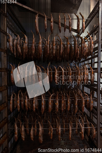 Image of Smoked fish production concept