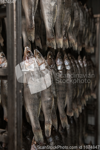 Image of Smoked fish production concept